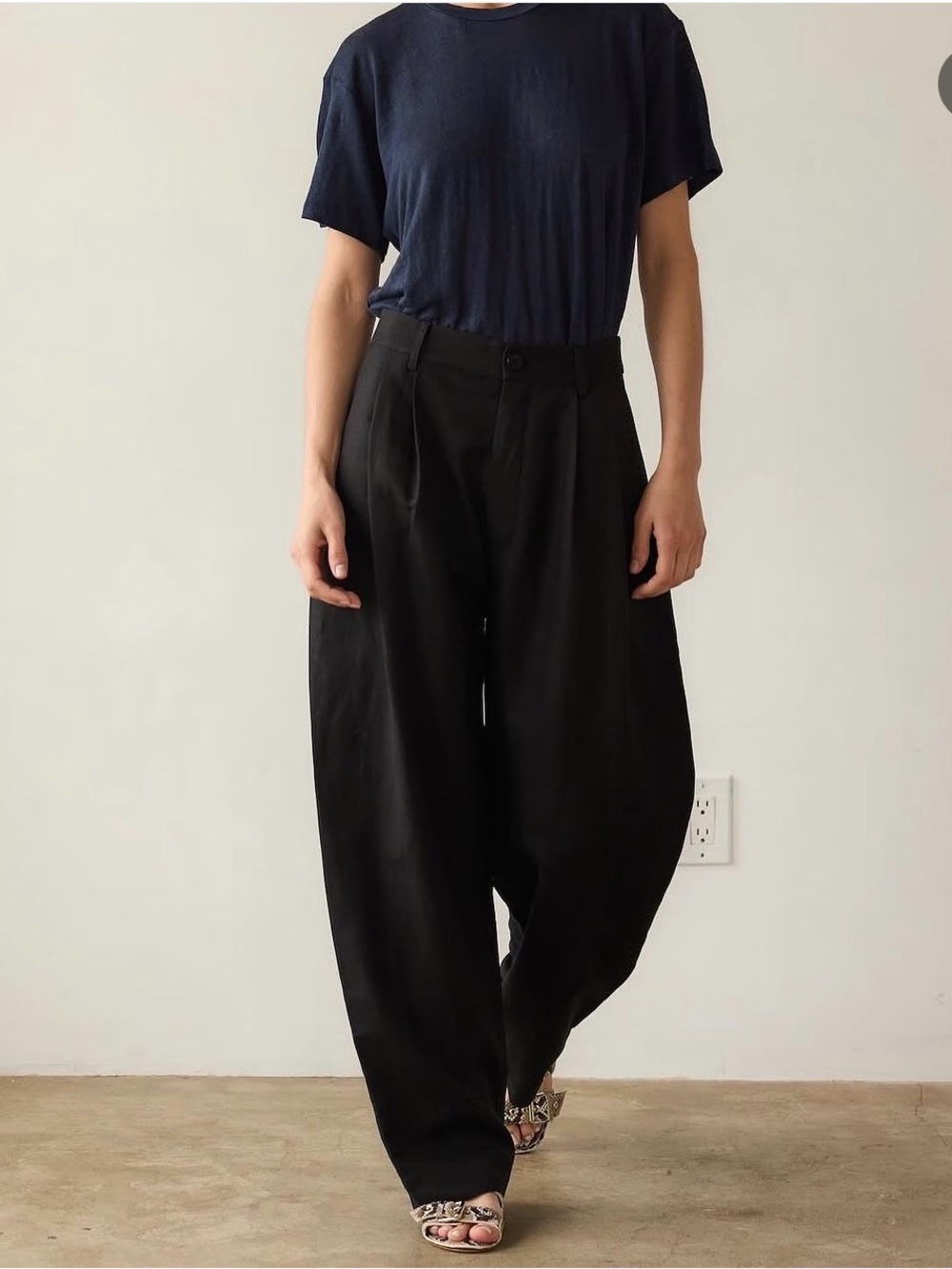 Jamie Haller Big Pleat Linen Pants